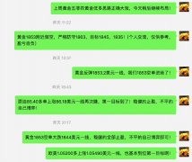 没有派遣地面部队的意图；沙特王储表示