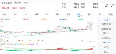 黄金城手机娱乐官方开盘价：947.0