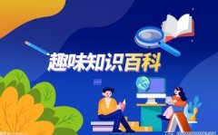 因为要发行自己的基金，mt4交易软件