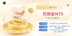 该平台提供多种账户类型—818期货学习网