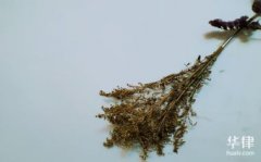 外汇行情走势软件2.诱导频繁交易诈骗