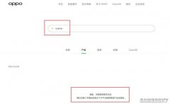 中国现货交易网官网realme似乎从产品到运营已经