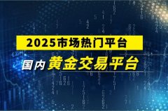 wps官方网站平台技术团队经验丰富