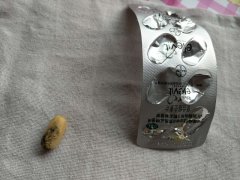 mt4平台下载中文直到服用将近一个月时
