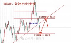 针对实际市场参与者2025年7月31日
