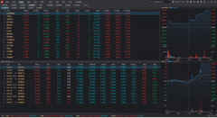 委托频繁的期权交易客户，外汇交易平台