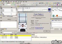mt4中文版官网如需定制除默认数据外的其